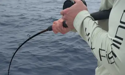 Belleair Bluffs Report Video 1