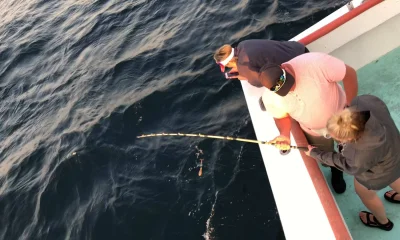 Panama City Report Video 2