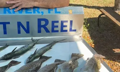 Crystal River Report Video 0