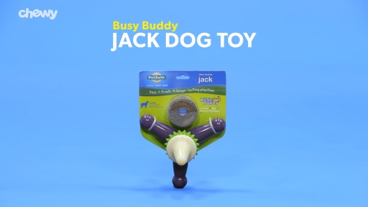 Pet Safe Busy Buddy Jack Chew Toy – DogTuff