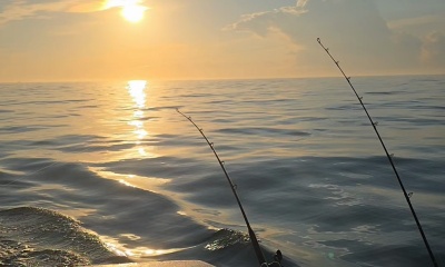Best experience!