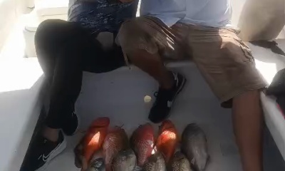 These are pros!! 