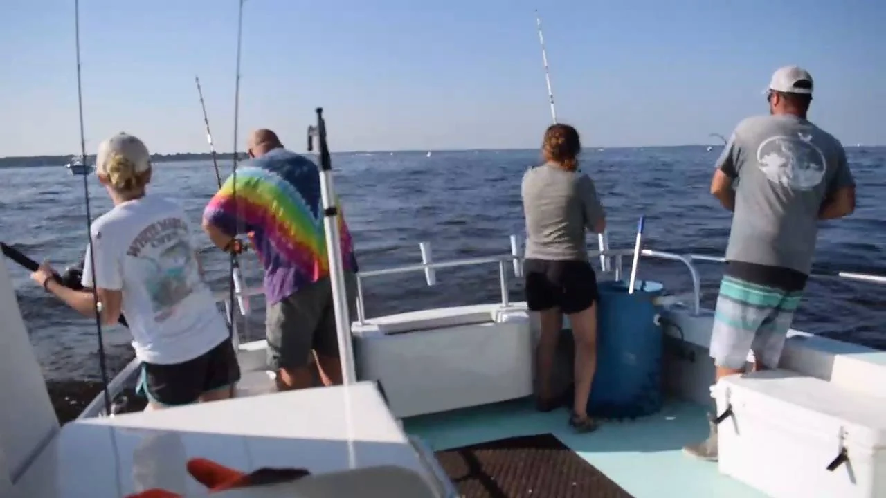 Business Card: U.S. Blues Chesapeake Charters