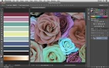 Casando cores entre imagens no Photoshop (Match Color)