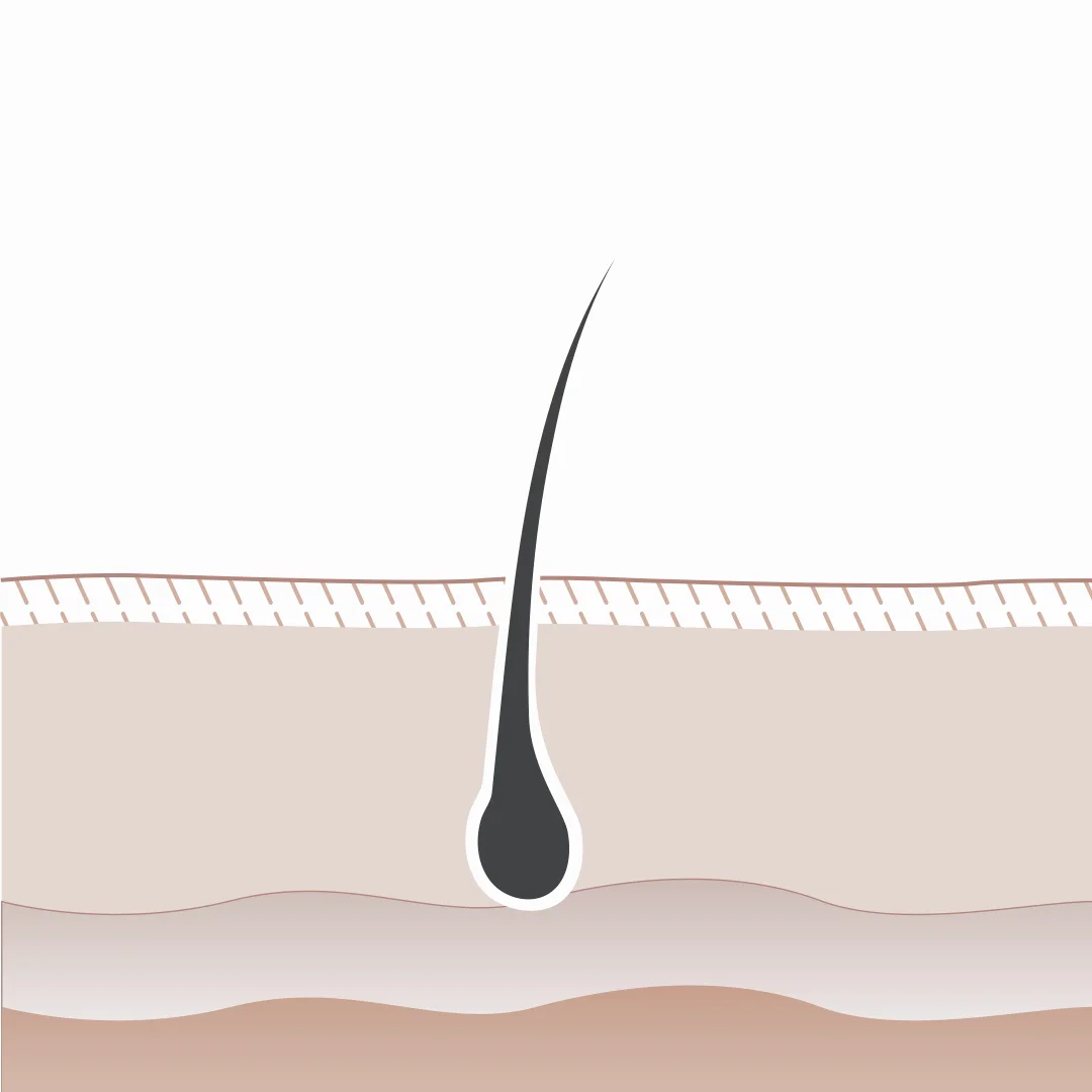 LHR-animation-1000x1000, image size:1080x1080