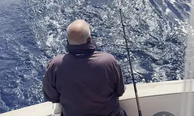 Calheta Report Video 0