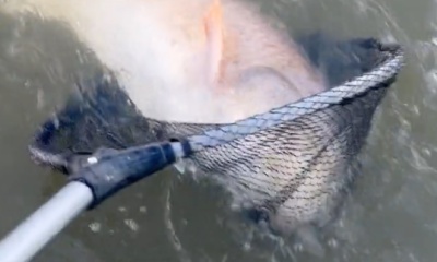 Venice Report Video 0