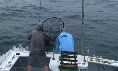 Montauk Bericht Video 0
