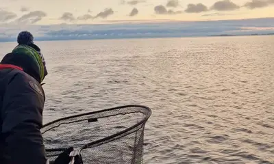 Stockholm Report Video 0