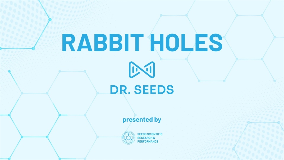 Rabbit Holes – June 2025