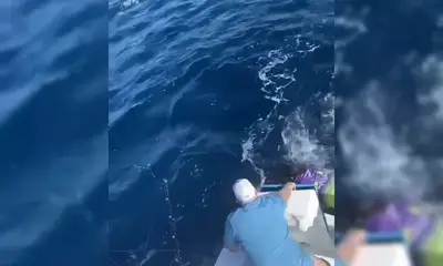 Puerto Plata Report Video 0