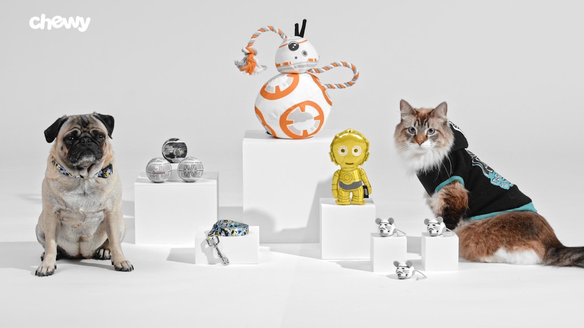 star wars toys for cats