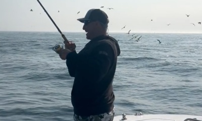 Chatham Report Video 1