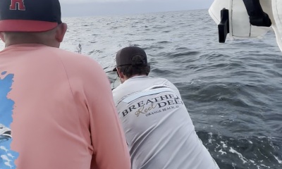 Fish on