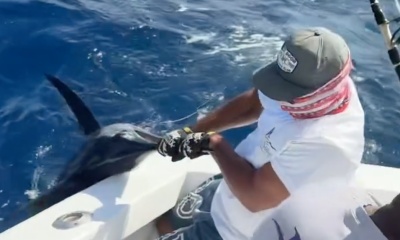 Once in a lifetime charter