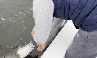 Big bass biting in the backwater