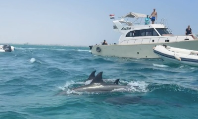 Trip of a lifetime! 