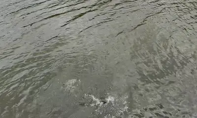 Atlanta Report Video 0