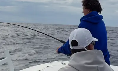 Tavernier Report Video 2