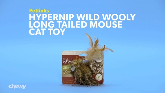 Play Video: Learn More About Petlinks From Our Team of Experts