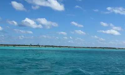 Highly recommend Santiago and his crew