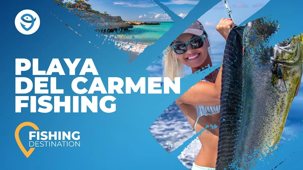 Fishing in PLAYA DEL CARMEN: The Complete Guide