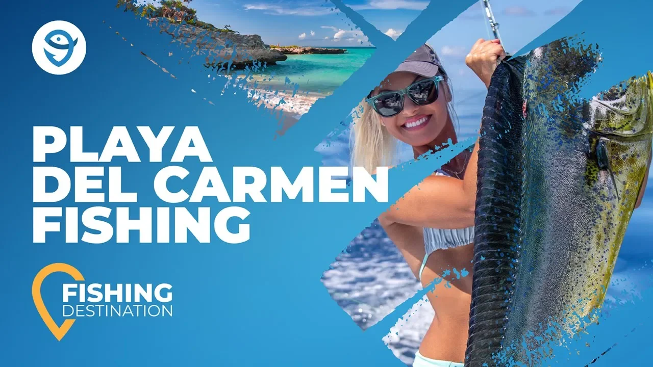 World's first SURF FISHING RIG CAMERA captures STUNNING NEVER before seen  FOOTAGE!, fishing, adventure