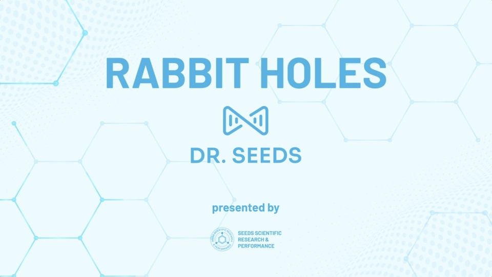 Rabbit Holes – October 2025