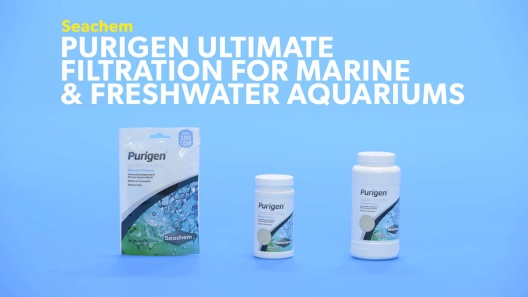 Seachem Purigen Ultimate Filtration For Marine & Freshwater Aquariums