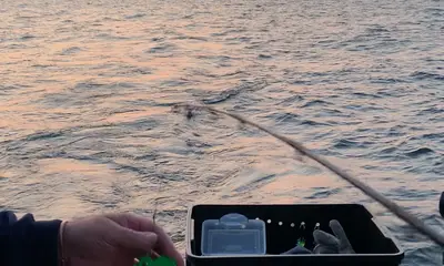 Erie Report Video 0