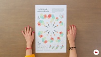 Data Visualization for Editorial Projects