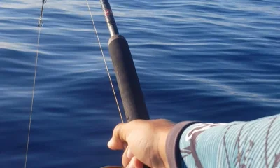 Funchal Report Video 1