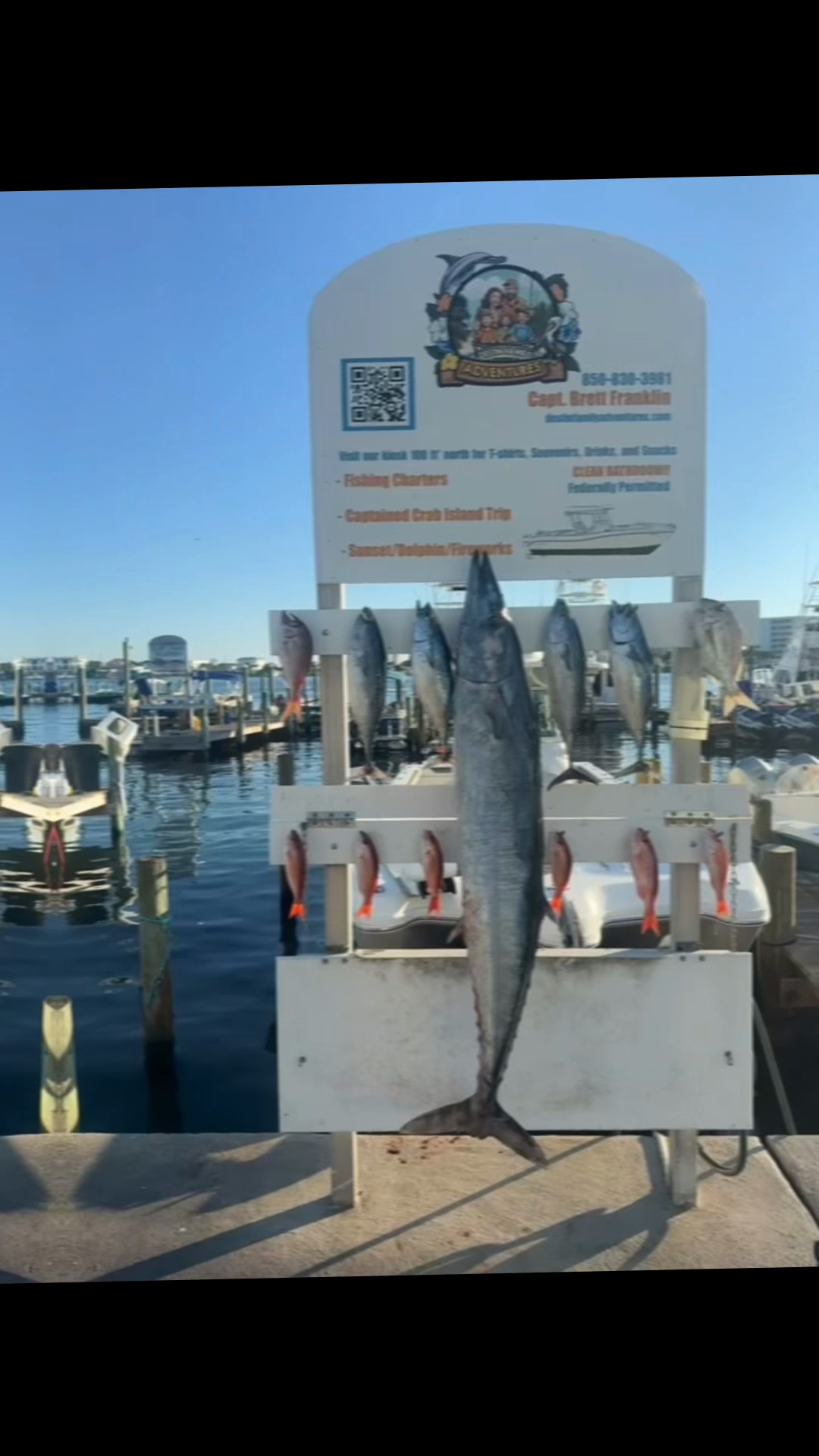 Business Card: Destin Family Adventures