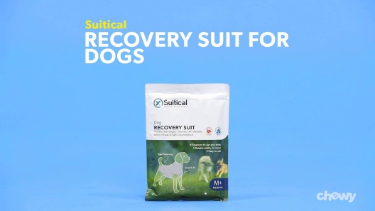 Play Video: Learn More About Suitical From Our Team of Experts