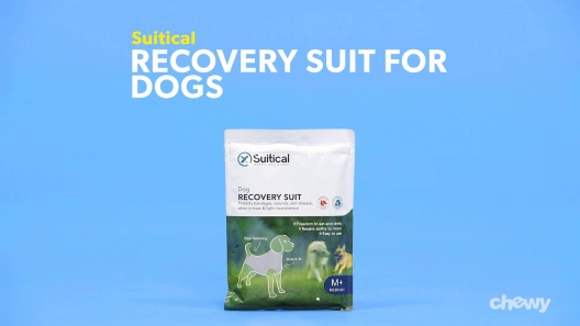 Suitical Dog Recovery Suit