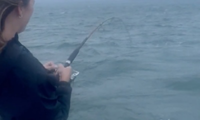 Dennis Video Report 0