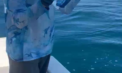 Nayarit Bericht Video 1
