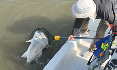 Bolivar Peninsula Report Video 0