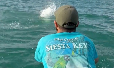 Tampa Report Video 1