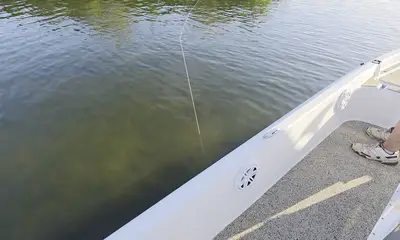 Homosassa Verslag Video 1