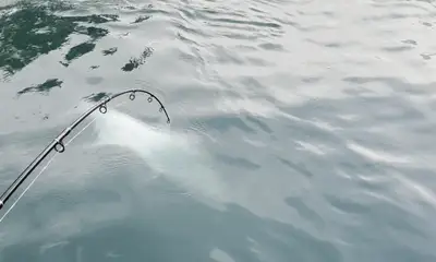 January fishing trip