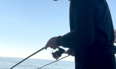 Theriot Report Video 0