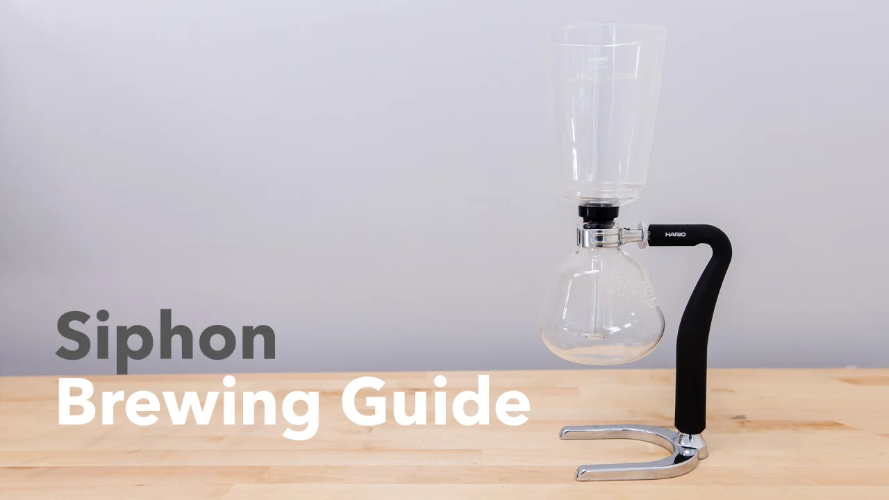 Siphon Brewing Guide - Prima Coffee Equipment