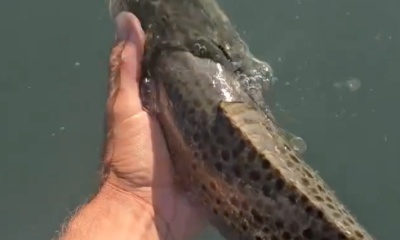 South Padre Island Report Video 0