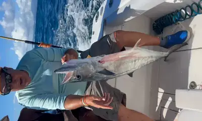 Fajardo Report Video 1