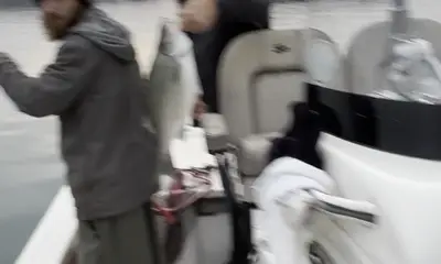 Townville Report Video 1