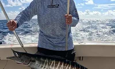 Cancún Report Video 0
