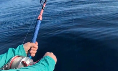 My first bluefin