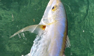 Bávaro Report Video 3