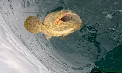 Clearwater Report Video 0